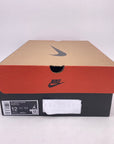 Air Jordan 12 Retro "Flu Game" 2025 New Size 12