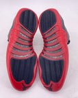 Air Jordan 12 Retro "Flu Game" 2025 New Size 12