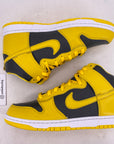 Nike Dunk High "Iowa" 2020 New Size 10.5