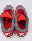 Nike Air Max 90 "Gym Red" 2022 Used Size 9