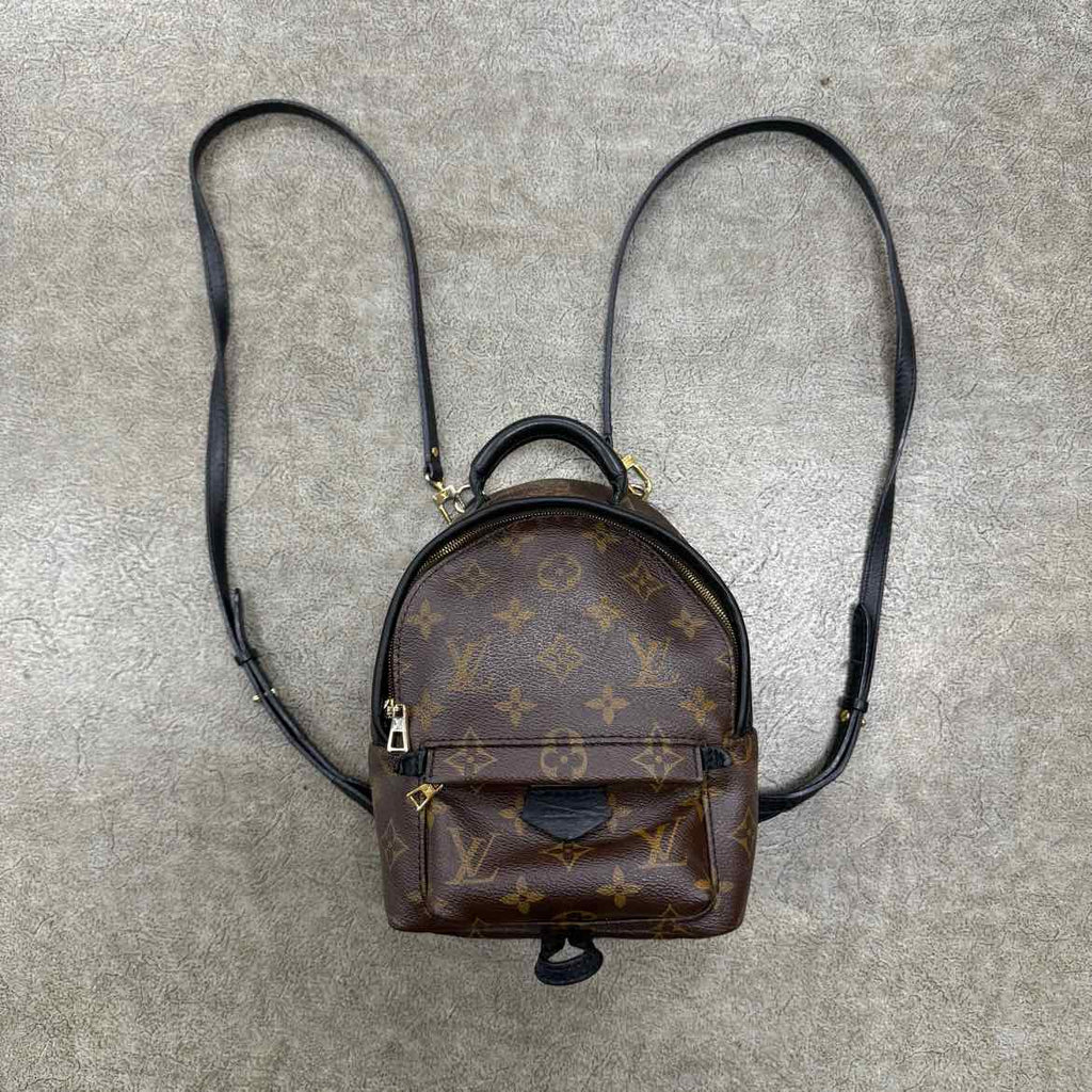 Louis Vuitton Backpack "PALM SPRINGS" Used Brown Size OS