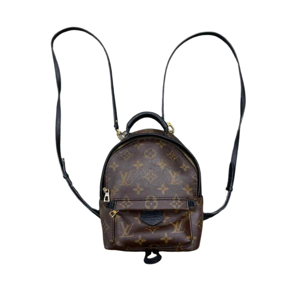Louis Vuitton Backpack "PALM SPRINGS" Used Brown Size OS