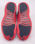 Air Jordan 12 Retro "Flu Game" 2025 New Size 8