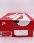 Nike Dunk Low "Silver Surfer" 2024 New Size 10