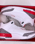 Air Jordan 3 Retro "Hall Of Fame" 2018 New Size 10.5