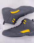Air Jordan 12 Retro "Black Taxi" 2022 New Size 13