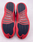 Air Jordan 12 Retro "Flu Game" 2025 New Size 9