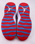 Air Jordan 10 Retro "Chicago Flag" 2016 Used Size 10