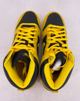 Nike Dunk High "Iowa" 2020 New Size 10.5