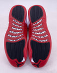 Air Jordan 12 Retro "Cherry" 2023 New Size 11.5