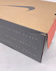 Air Jordan 12 Retro "Flu Game" 2025 New Size 12