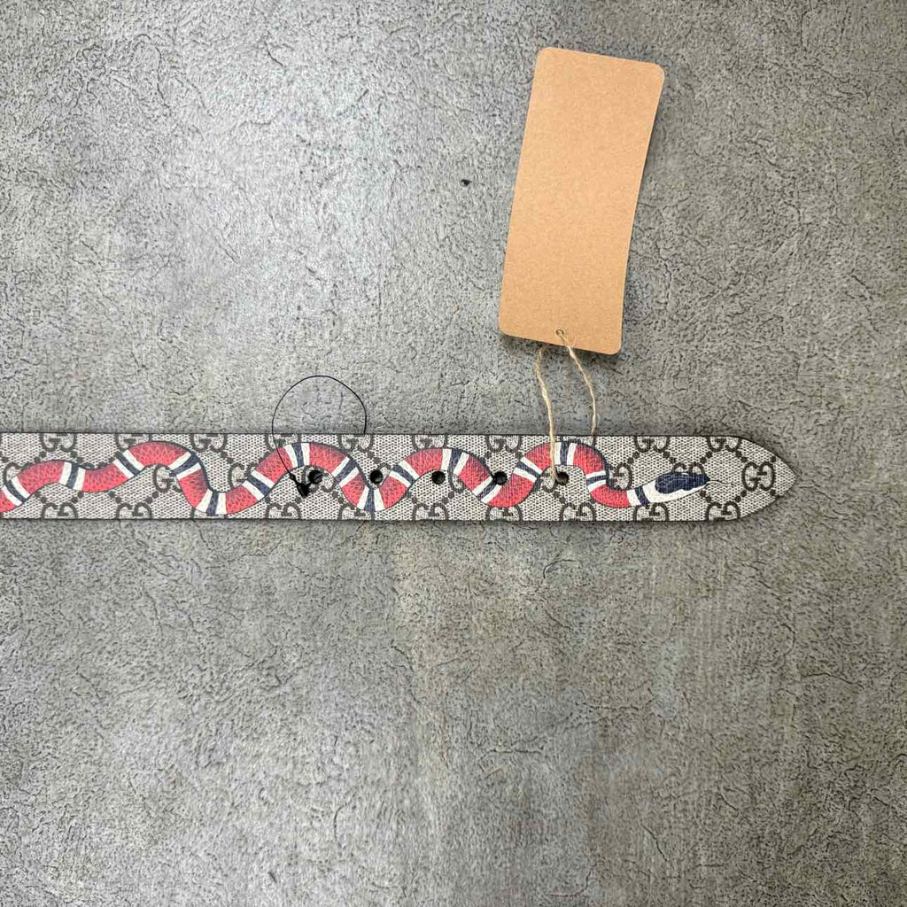 Gucci (W) Belt "SNAKE" New Brown Size 28