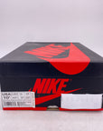 Air Jordan 1 Retro High OG "Rookie Of The Year" 2018 Used Size 10.5