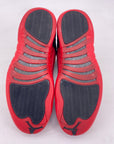 Air Jordan 12 Retro "Flu Game" 2016 Used Size 12