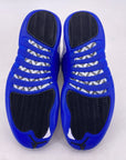 Air Jordan 12 Retro "Blueberry" 2024 Used Size 10