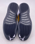 Air Jordan 12 Retro "Royalty Taxi" 2021 New Size 13