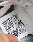 Nike Dunk Low "Silver Surfer" 2024 New Size 10