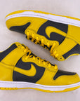 Nike Dunk High "Iowa" 2020 New Size 10.5