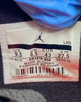 Air Jordan 4 Retro "Raptor Ovo" 2019 New Size 9.5