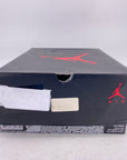 Air Jordan 10 Retro "Chicago Flag" 2016 Used Size 10