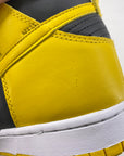 Nike Dunk High "Iowa" 2020 New Size 10.5