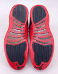 Air Jordan 12 Retro "Flu Game" 2025 New Size 12