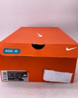 Nike SB Dunk Low "City Of Style" 2024 New Size 10