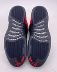 Air Jordan 12 Retro "Reverse Flu Game" 2020 New Size 13