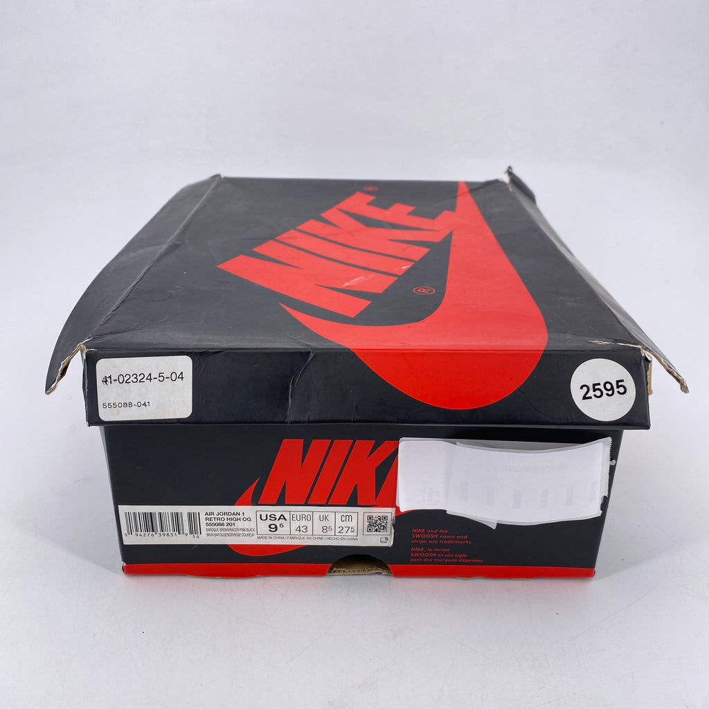 Air Jordan 1 Retro High OG "Bio Hack" 2020 Used Size 9.5