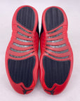 Air Jordan 12 Retro "Flu Game" 2025 New Size 12