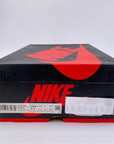 Air Jordan 1 Retro High OG "Bio Hack" 2020 Used Size 11