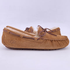 Latest Collection Image