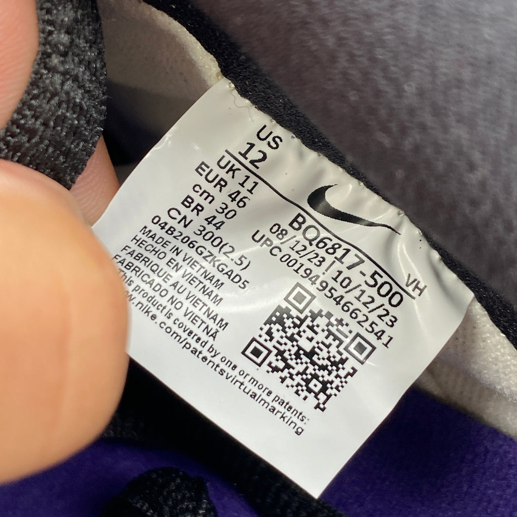 Nike SB Dunk Low "Court Purple" 2024 New Size 12