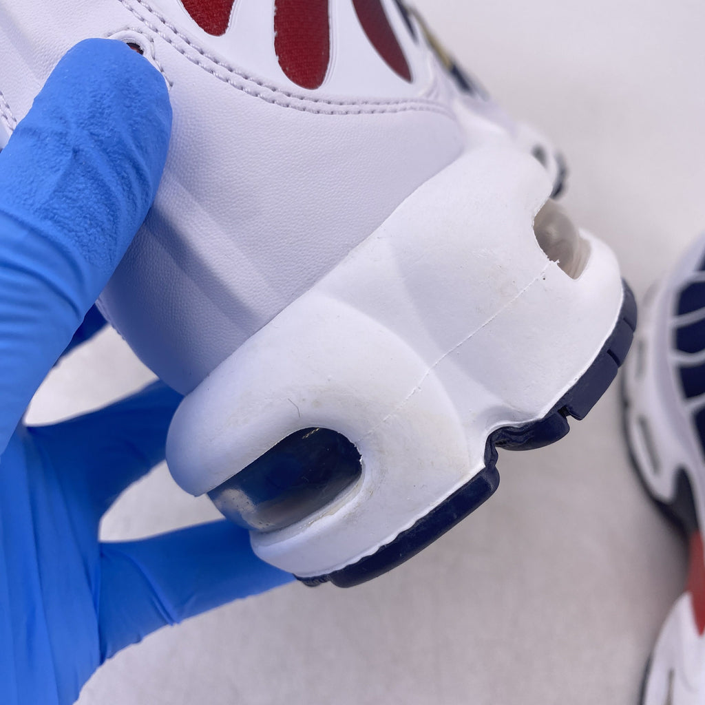 Nike Air Max Plus "Psg" 2024 New Size 10