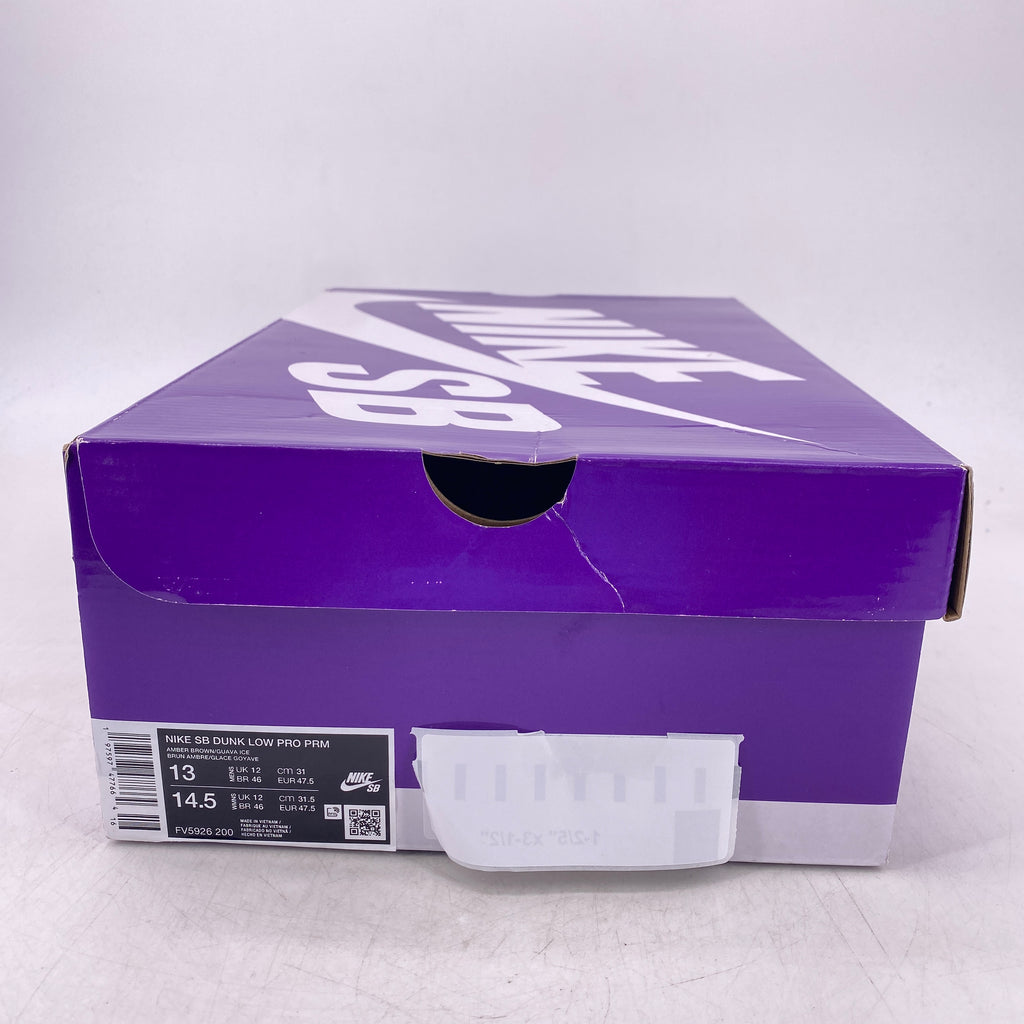 Nike SB Dunk Low "Trocadero Gardens" 2024 New Size 13