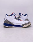 Air Jordan 3 Retro "True Blue" 2016 Used Size 10.5