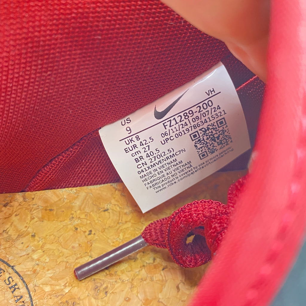 Nike SB Dunk Low Pro "Riot Skateshop" 2025 Used Size 9