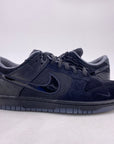 Nike Dunk Low "Ducks Of Feather Black" 2024 New Size 9.5