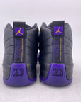 Air Jordan 12 Retro "Field Purple" 2023 Used Size 9