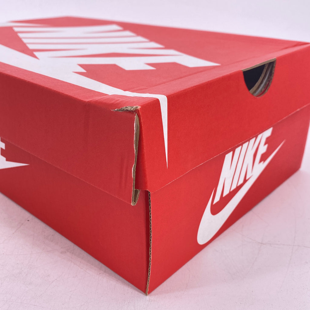 Nike (W) Dunk Low "Paisley Pack Pink" 2023 New Size 9W