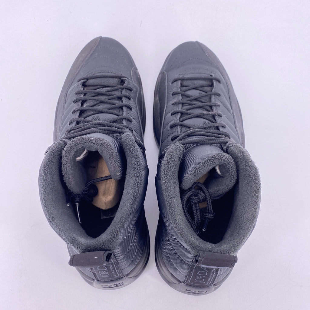 Air Jordan 12 Retro "Winter Black" 2018 Used Size 13