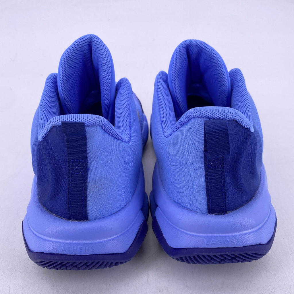 Nike (GS) Giannis Immortality 4 "Royal Pulse" 2026 Used Size 7Y