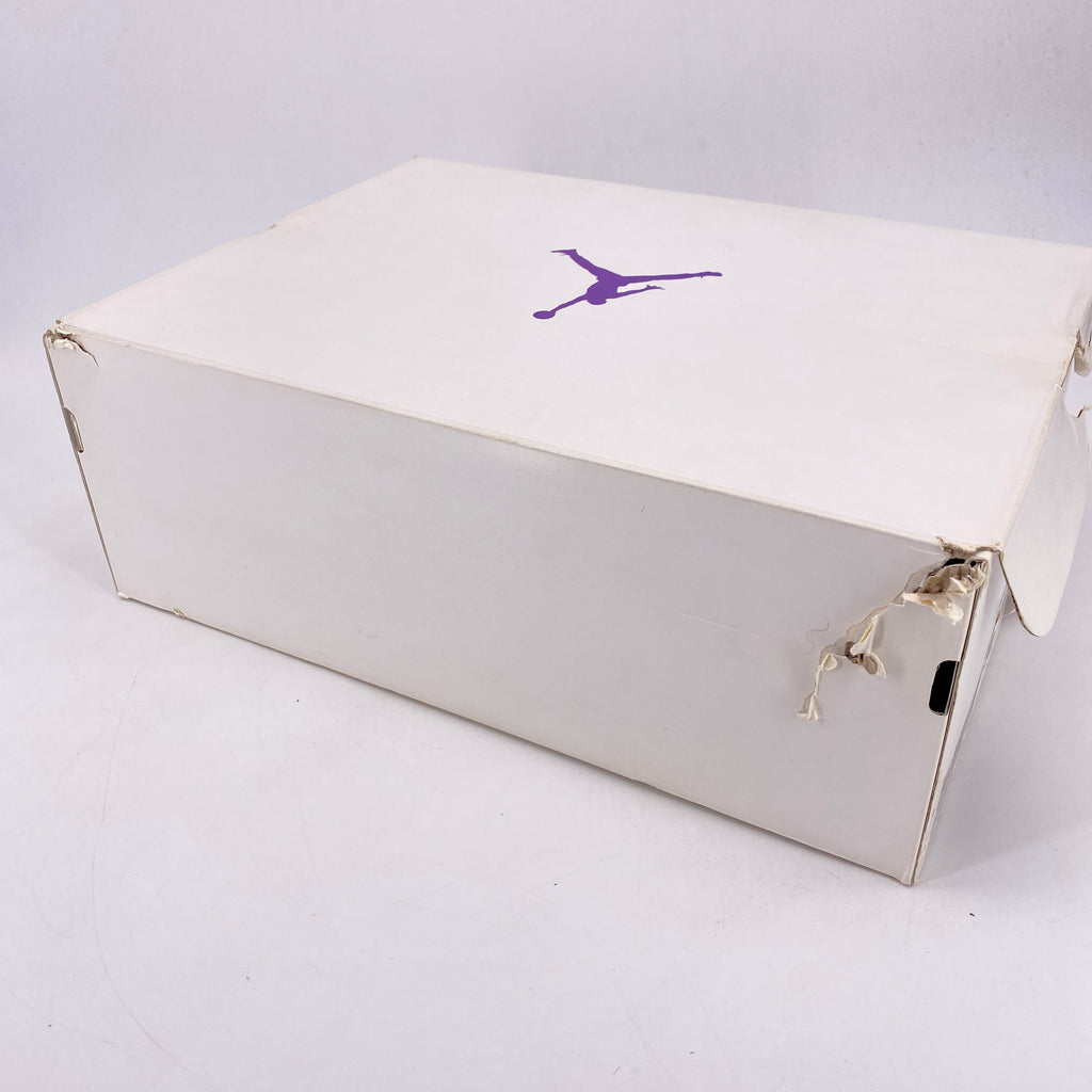 Air Jordan 4 Retro "Metallic Purple" 2020 New Size 10.5