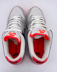 Nike SB Dunk Low "Infrared" 2020 New (Cond) Size 11