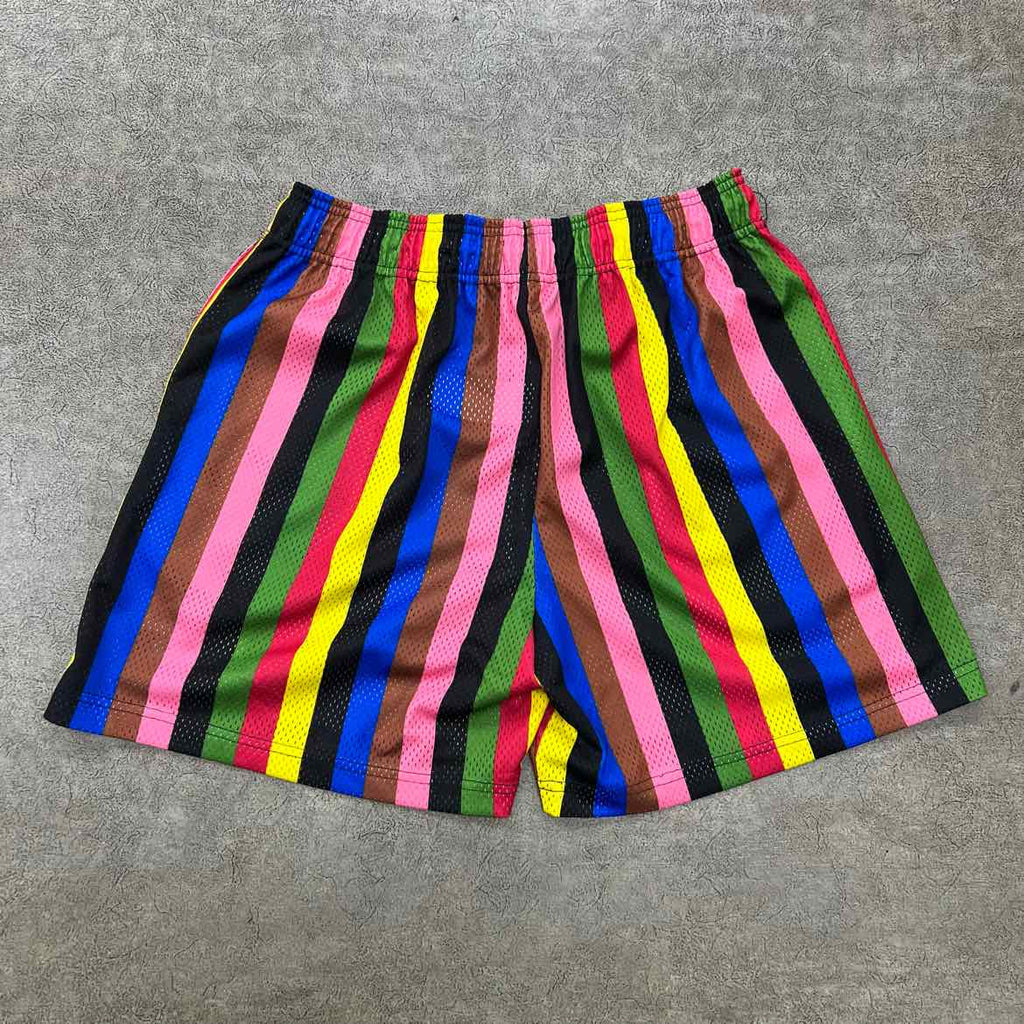 Eric Emanuel Shorts "RAINBOW" Multi-Color Used Size XL