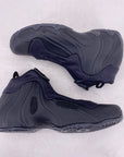 Nike Air Flightposite "Black" 2025 New Size 9