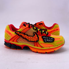 Latest Collection Image