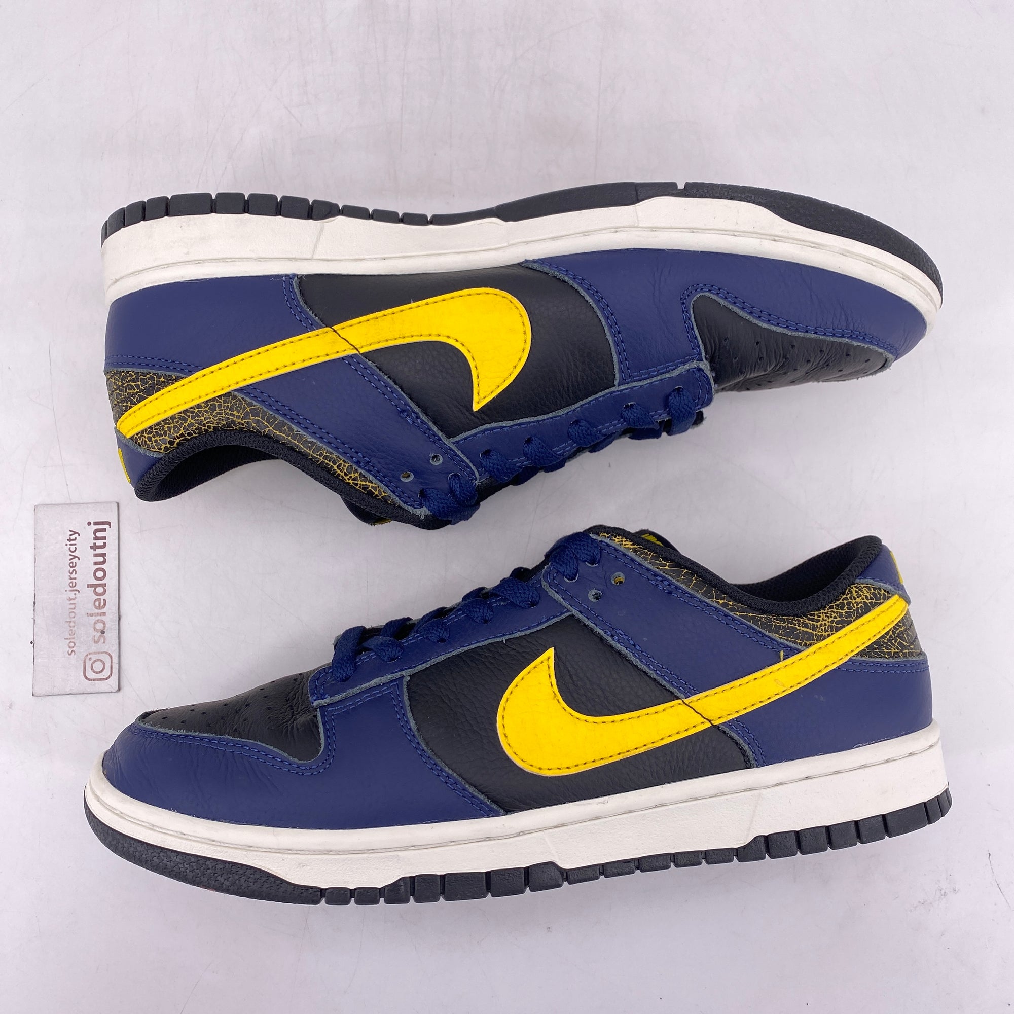 Nike Dunk Low &quot;Vintage Michigan&quot; 2023 Used Size 9.5