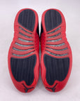 Air Jordan 12 Retro "Flu Game" 2025 New Size 11.5