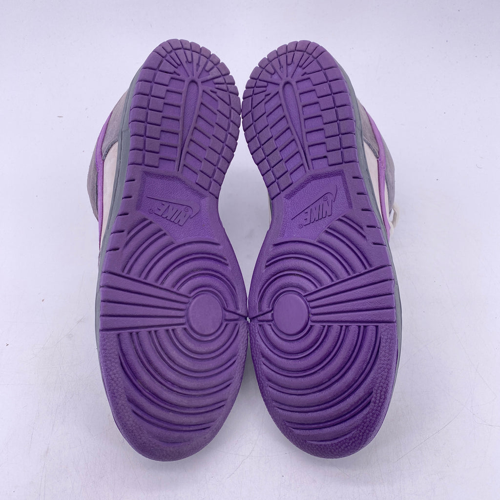 Nike SB Dunk Low "Purple Pigeon" 2006 Used Size 11